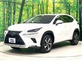 2019 Lexus NX
