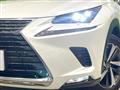 2019 Lexus NX