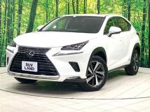 2019 Lexus NX