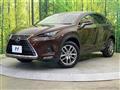 2019 Lexus NX