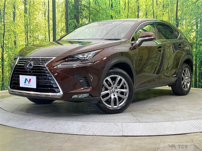2019 Lexus NX