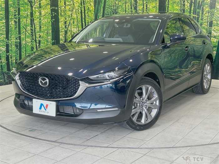2019 Mazda Mazda Others