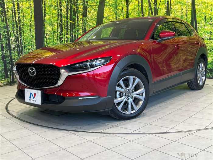 2020 Mazda Mazda Others