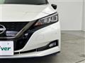 2022 Nissan Leaf