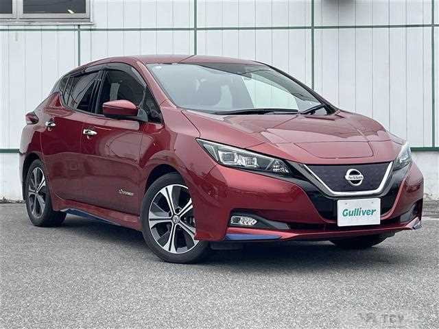 2017 Nissan Leaf
