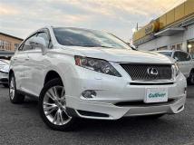 2009 Lexus RX