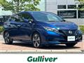 2021 Nissan Leaf