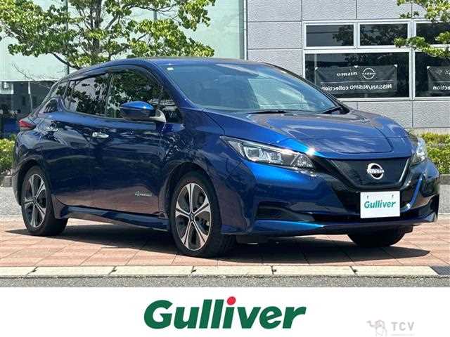 2021 Nissan Leaf
