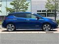 2021 Nissan Leaf