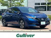2021 Nissan Leaf