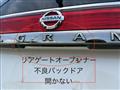 2010 Nissan Elgrand