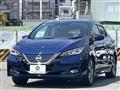 2018 Nissan Nissan Others
