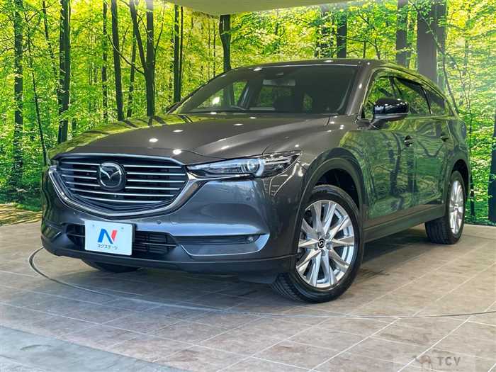 2017 Mazda CX-8