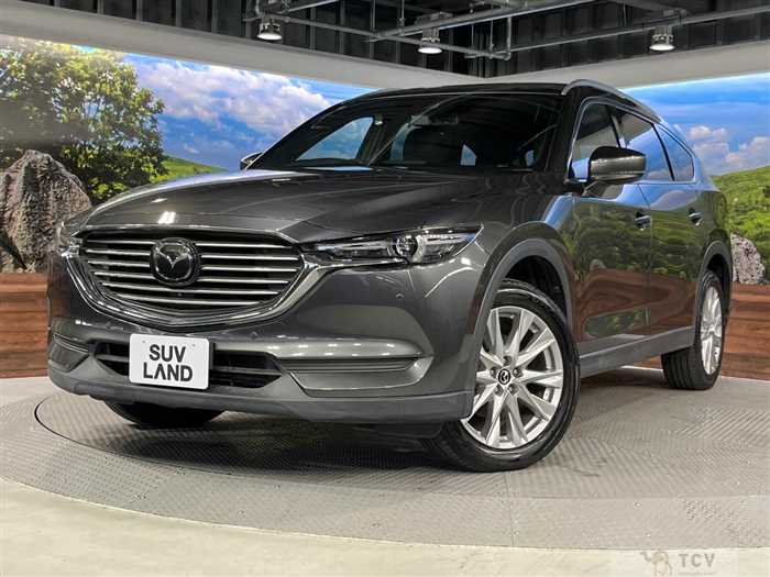 2018 Mazda CX-8