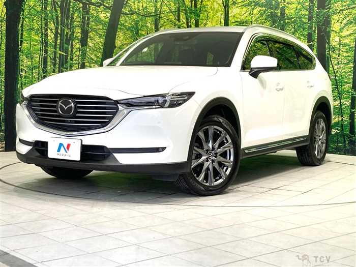 2019 Mazda CX-8