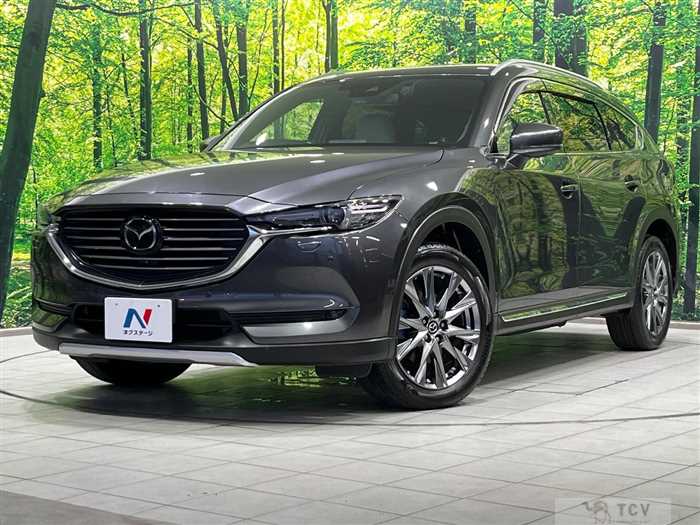 2018 Mazda CX-8