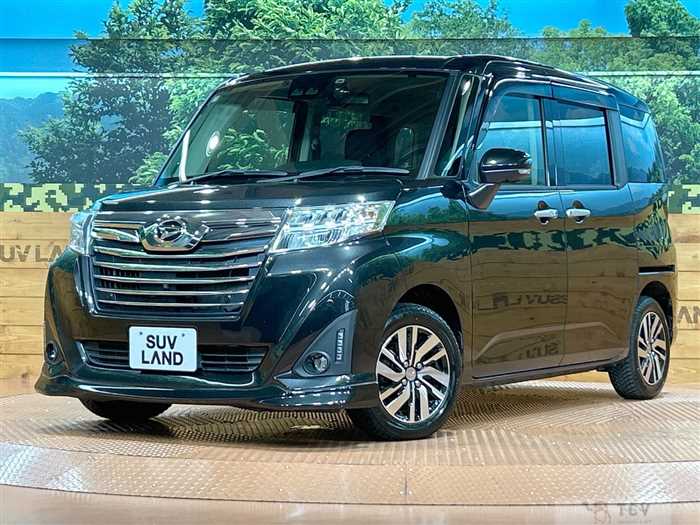 2019 Daihatsu Daihatsu Others