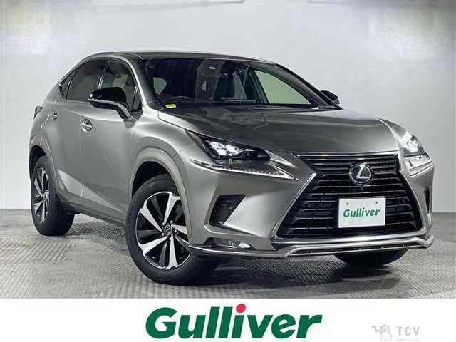 2021 Lexus NX