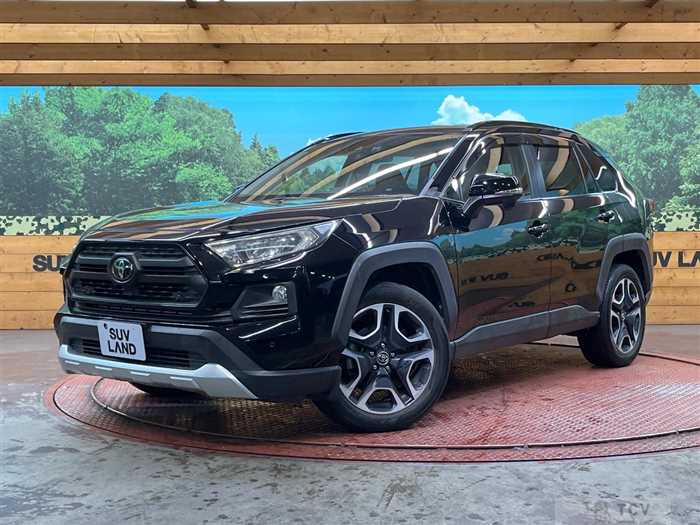 2019 Toyota RAV4