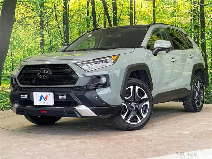2019 Toyota RAV4