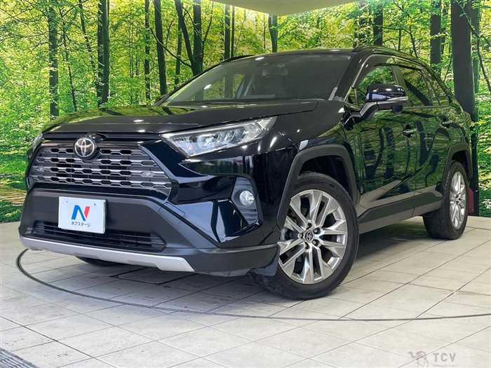 2019 Toyota RAV4