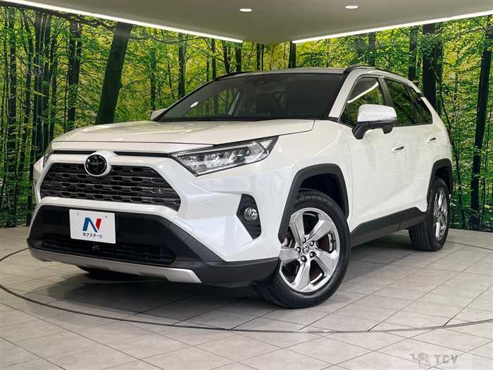 2019 Toyota RAV4