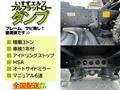 2008 Isuzu Isuzu Others