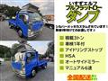 2008 Isuzu Isuzu Others