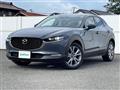 2022 Mazda CX-3