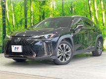 2019 Lexus Other