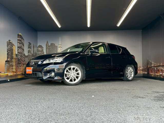 2011 Lexus Other