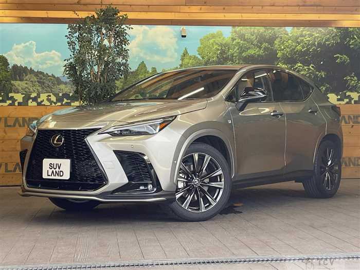 2024 Lexus NX