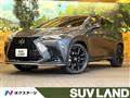 2025 Lexus NX