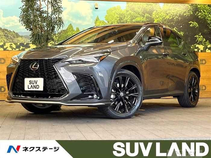 2025 Lexus NX
