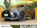 2025 Lexus NX