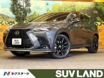 2025 Lexus NX