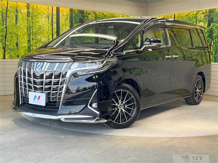 2019 Toyota Alphard