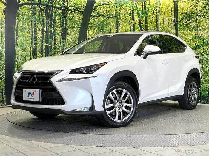 2014 Lexus NX