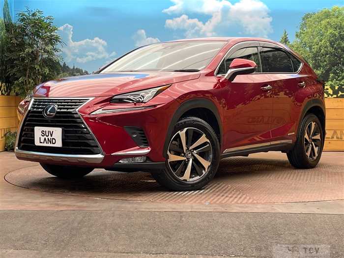 2020 Lexus NX