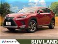 2020 Lexus NX