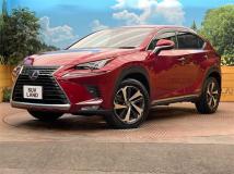 2020 Lexus NX
