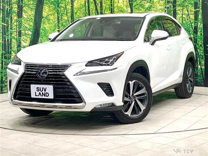 2020 Lexus NX