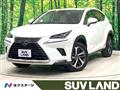 2020 Lexus NX