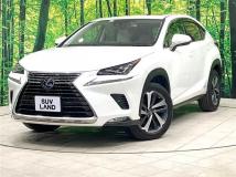 2020 Lexus NX