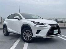 2020 Lexus NX