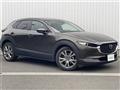 2021 Mazda CX-3