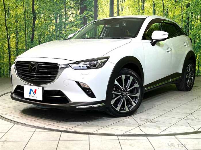 2019 Mazda CX-3
