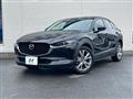 2019 Mazda Mazda Others