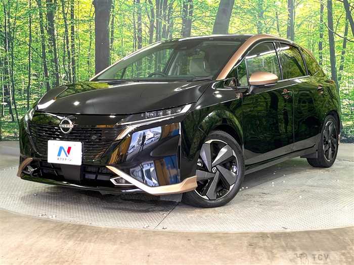 2021 Nissan Nissan Others