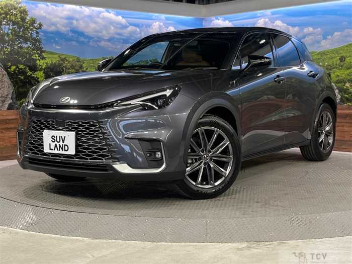 2025 Lexus Other